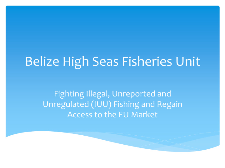 belize high seas fisheries unit