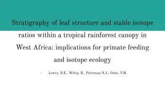 Stratigraphy of leaf structure and stable isotope  ratios within a tropical rainforest canopy in