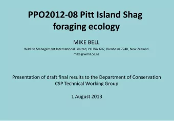 PPO2012-08 Pitt Island Shag  foraging ecology MIKE BELL  Wildlife Management International Limited,
