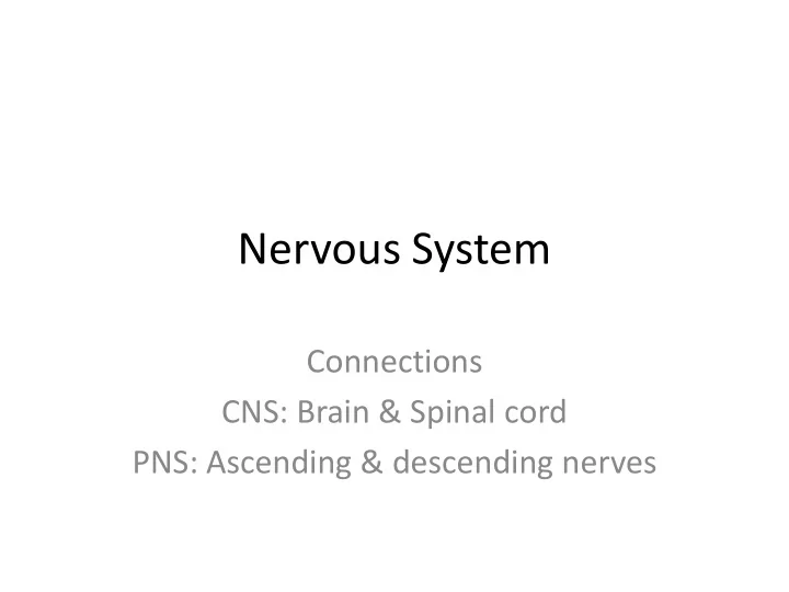 nervous system