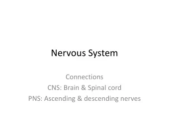 Nervous System  Connections  CNS: Brain &amp; Spinal cord  PNS: Ascending &amp; descending nerves