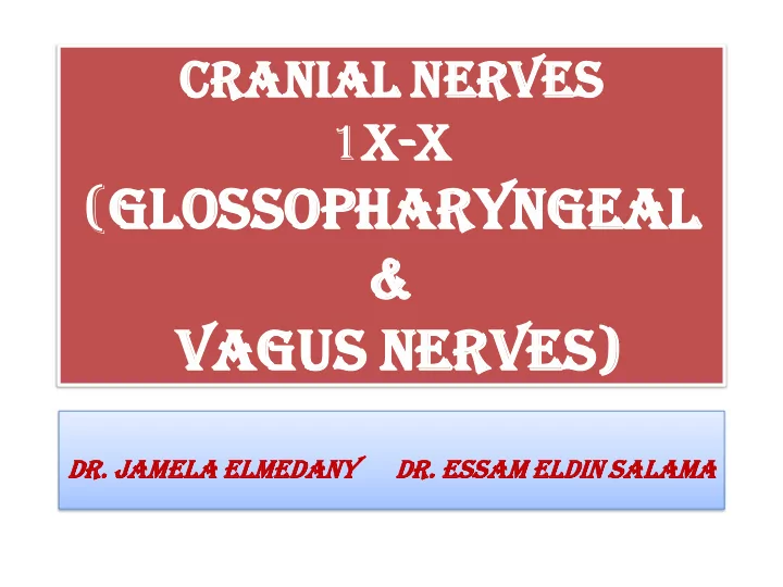 gl glos ossopharyngeal opharyngeal amp va vagu gus nerves