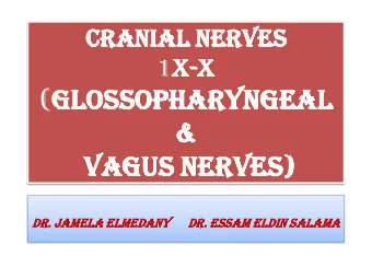 (Gl  Glos  ossopharyngeal  opharyngeal  &amp;  Va  Vagu  gus Nerves  ves)  Dr. Jamela  ela Elmed