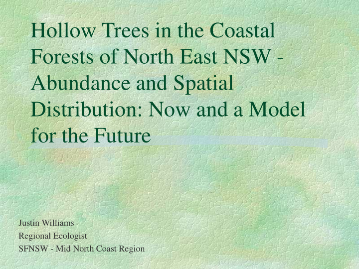 hollow trees in the coastal forests of north east nsw
