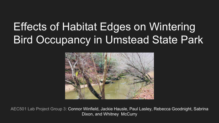effects of habitat edges on wintering bird occupancy in