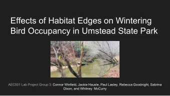 Effects of Habitat Edges on Wintering  Bird Occupancy in Umstead State Park  AEC501 Lab Project