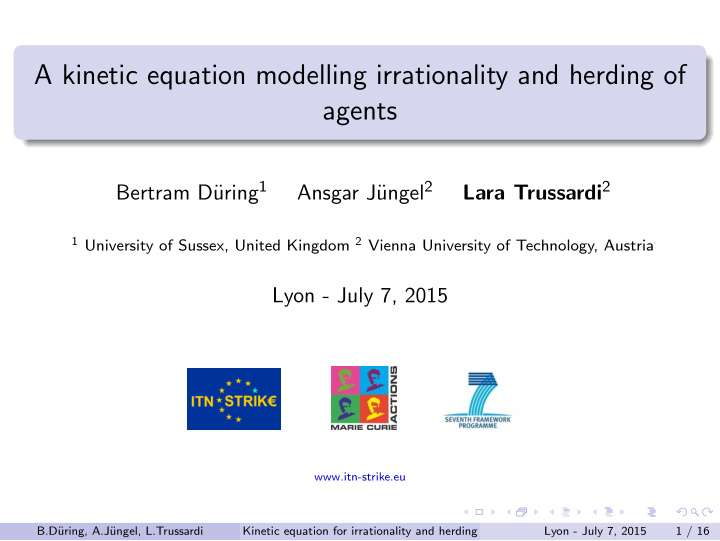 a kinetic equation modelling irrationality and herding of