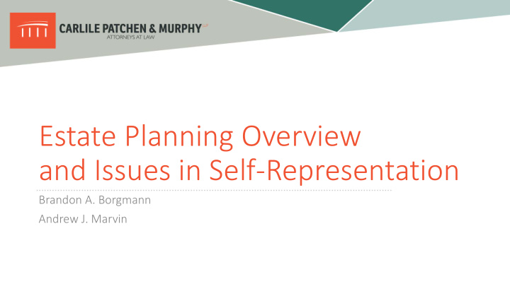 estate planning overview and issues in self representation
