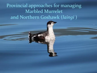 Provincial approaches for managing  Marbled Murrelet and Northern Goshawk ( laingi )  Purpose of