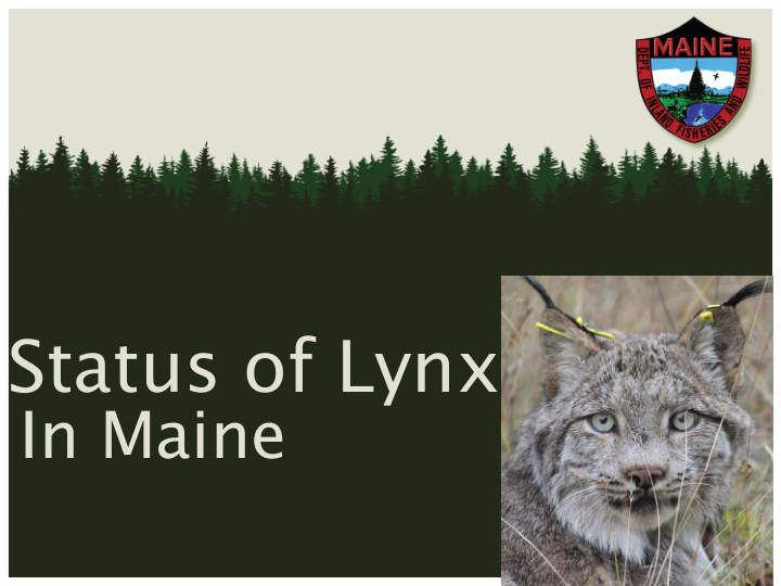 status of lynx