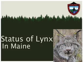 Status of Lynx  In Maine  Maines Forest - contiguous forestland  ~18 million acres of forest