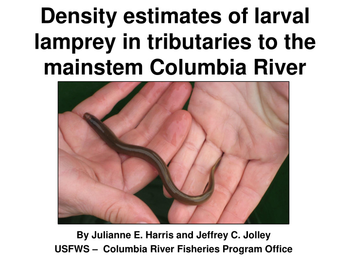 lamprey in tributaries to the