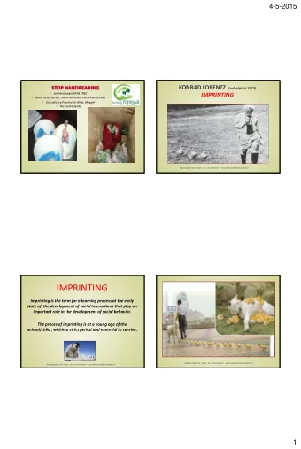 IMPRINTING  Imprinting is the term for a learning process at the early  state of  the development