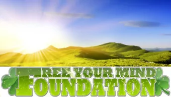 FREE YOUR MIND FOUNDATION  PRESENTATION  FREE YOUR MIND FOUNDATION ORGANIGRAM  Johan Peijen (Riki)