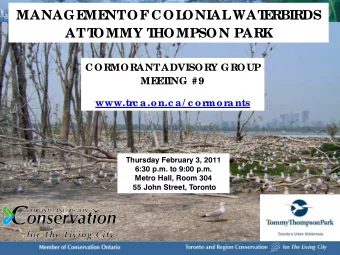 MANAGE  ME  NT  OF  COL  ONIAL  WAT  E  RBIRDS  AT  T  OMMY T  HOMPSON PARK  CORMORANT  ADVISORY