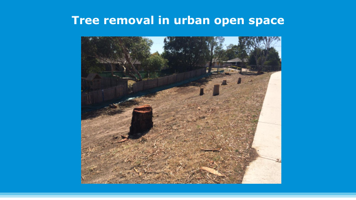 tree removal in urban open space overview