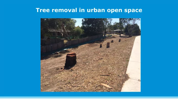 tree removal in urban open space overview