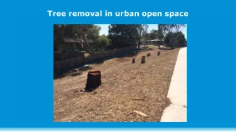 Tree removal in urban open space  Overview  - Program of works  - Community reaction and