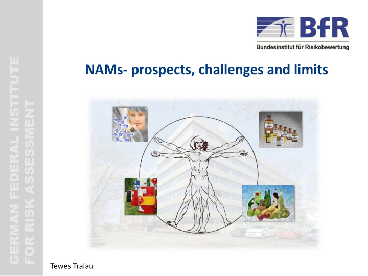 nams prospects challenges and limits