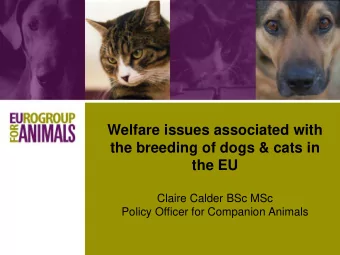 Welfare issues associated with  the breeding of dogs &amp; cats in  the EU  Claire Calder BSc MSc