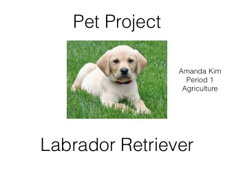 Pet Project  Amanda Kim  Period 1  Agriculture  Labrador Retriever  Introduction/History