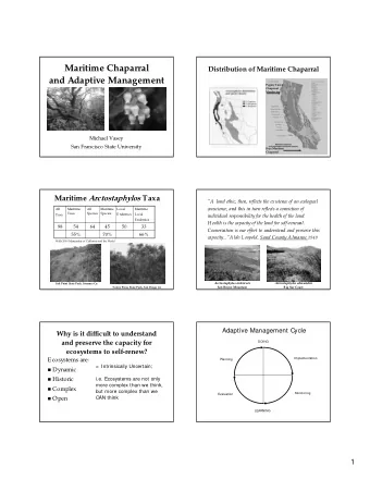 Maritime Chaparral  Maritime Chaparral  Distribution of Maritime Chaparral  Distribution of