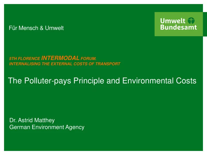 the polluter pays principle and environmental costs