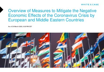 Overview of Measures to Mitigate the Negative  Economic Effects of the Coronavirus Crisis by