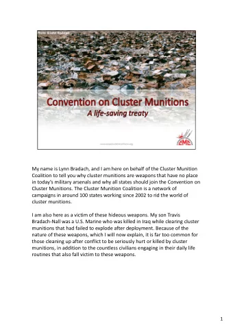 My name is Lynn Bradach, and I am here on behalf of the Cluster Munition  Coalition to tell you why