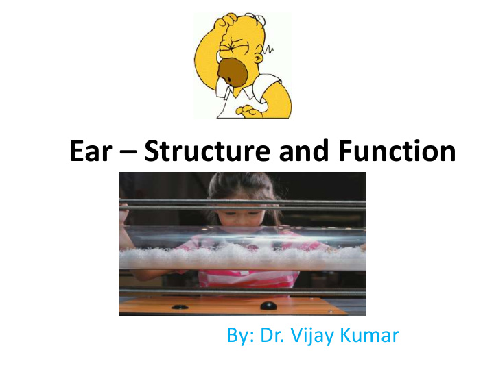 ear structure and function