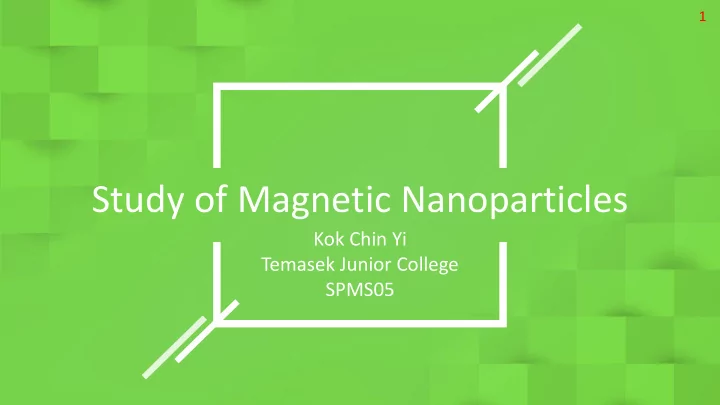study of magnetic nanoparticles