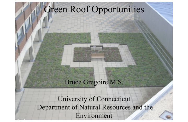 green roof opportunities