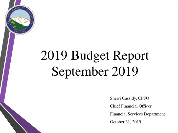 2019 budget report