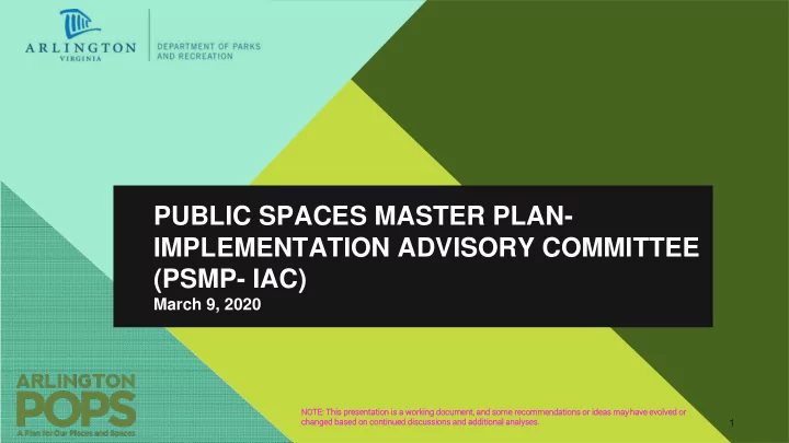 public spaces master plan implementation advisory