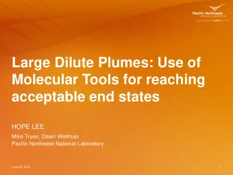 Molecular Tools for reaching  acceptable end states  HOPE LEE  Mike Truex, Dawn Wellman  Pacific