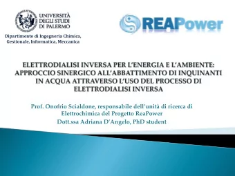 Prof. Onofrio Scialdone , responsabile dellunit di ricerca di  Elettrochimica del Progetto