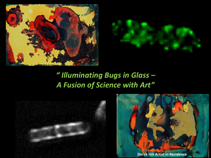 illuminating bugs in glass