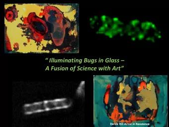 Illuminating Bugs in Glass  A Fusion of Science with Art   Derek Hill Artist in Residence