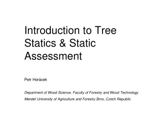 Introduction to Tree  Statics &amp; Static  Assessment  Petr Horcek  Department of Wood Science,