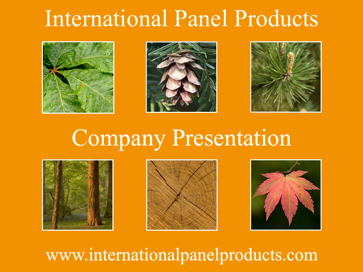 international panel products company presentation