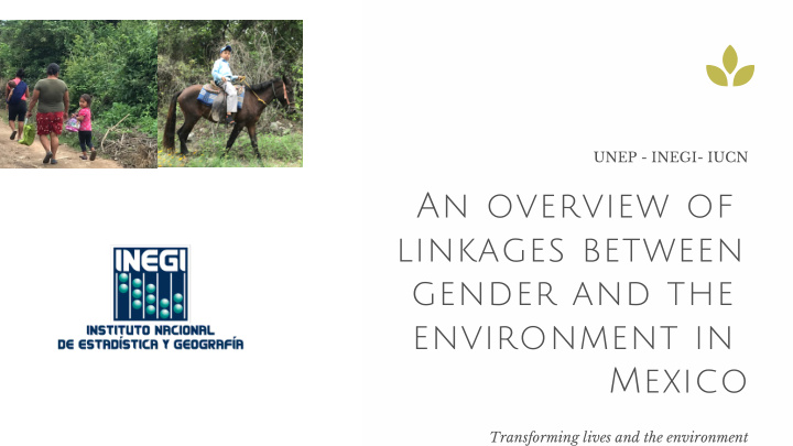 an overview of linkages between gender and the