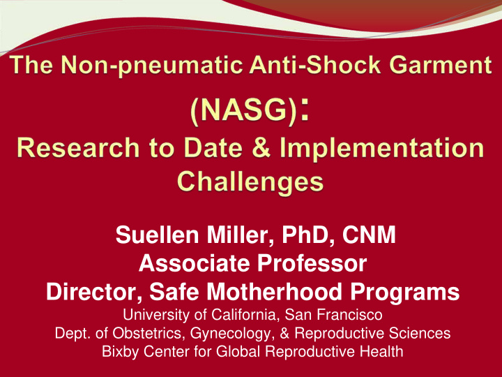 suellen miller phd cnm associate professor director safe