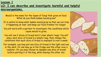 Lesson 1  LO: I can describe and investigate harmful and helpful  microorganisms.  Mould is the