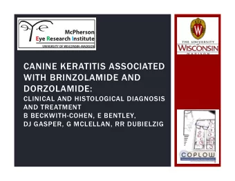 CANINE KERATITIS ASSOCIATED  WITH BRINZOLAMIDE AND  DORZOLAMIDE:  CLINICAL AND HISTOLOGICAL