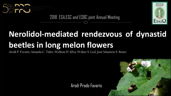 nerolidol mediated rendezvous of dynastid