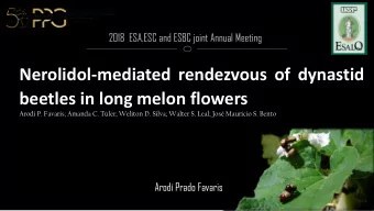 Nerolidol-mediated rendezvous of dynastid  beetles in long melon flowers  Arodi P. Favaris; Amanda