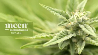 TSXV:MCCN  Disclaimer  CAUTIONARY NOTE REGARDING FORWARD-LOOKING INFORMATION, FUTURE- ORIENTED