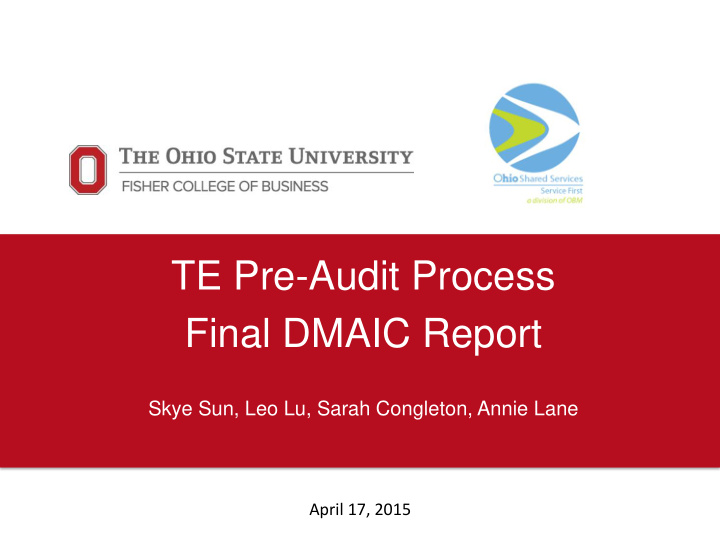 te pre audit process