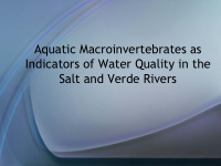 aquatic macroinvertebrates as indicators of water quality