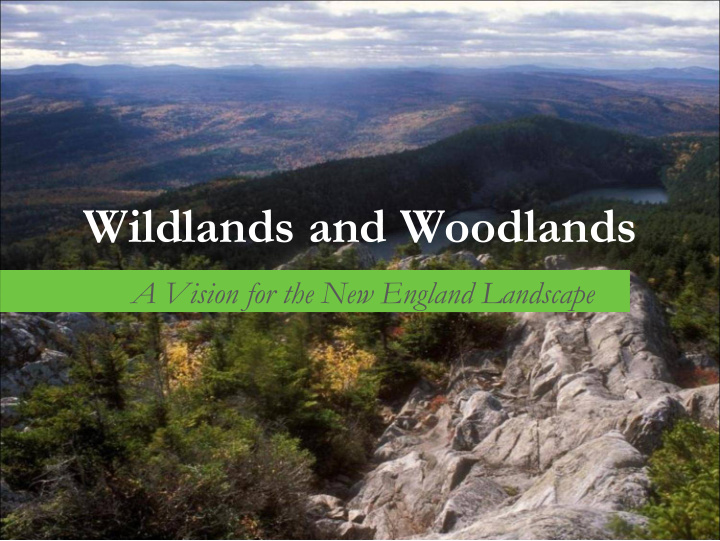 wildlands and woodlands